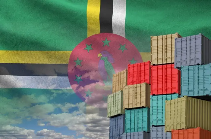 Supply Chain Finance in Africa: Nigeria & Kenya Insights